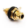 Терминал RCA Audiocore AC202