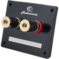 Терминал акустический Audiocore Audiomania KIT PR500GF